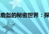 鹿盔的秘密世界：探索自然与文明的交融之旅
