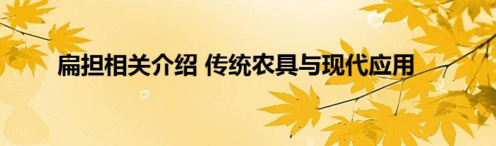扁担相关介绍 传统农具与现代应用